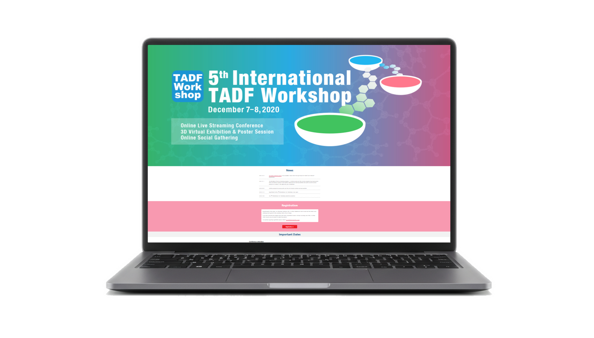 九州大学　最先端有機光エレクトロニクス研究センター　TADF